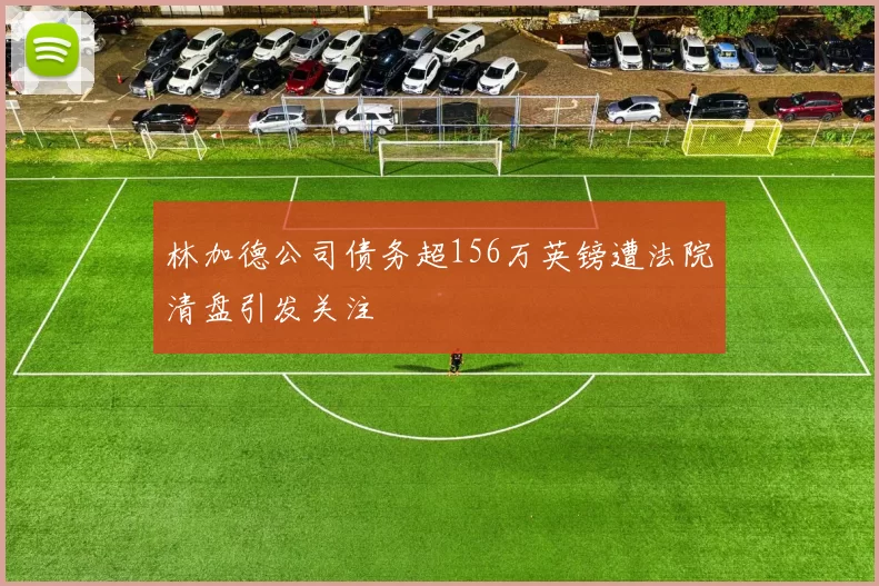 林加德公司债务超156万英镑遭法院清盘引发关注