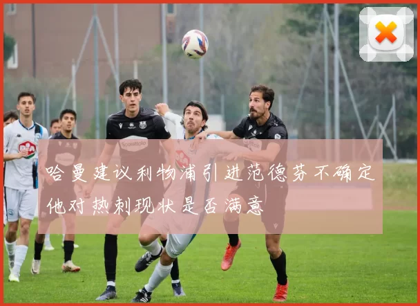 哈曼建议利物浦引进范德芬不确定他对热刺现状是否满意